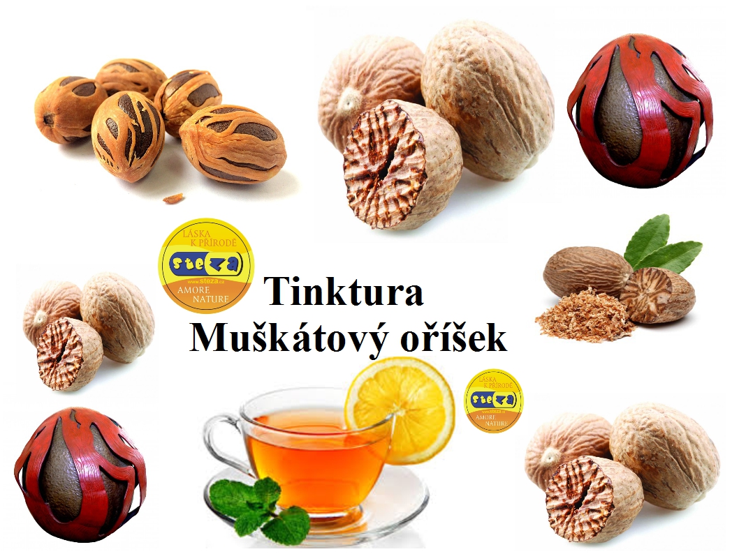 STEZA - Tinktura Muškátový oříšek - forte extra silná 25 ml.