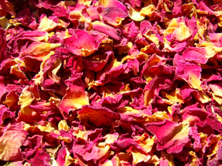 STEZA - Růže stolistá sušené plátky 50g